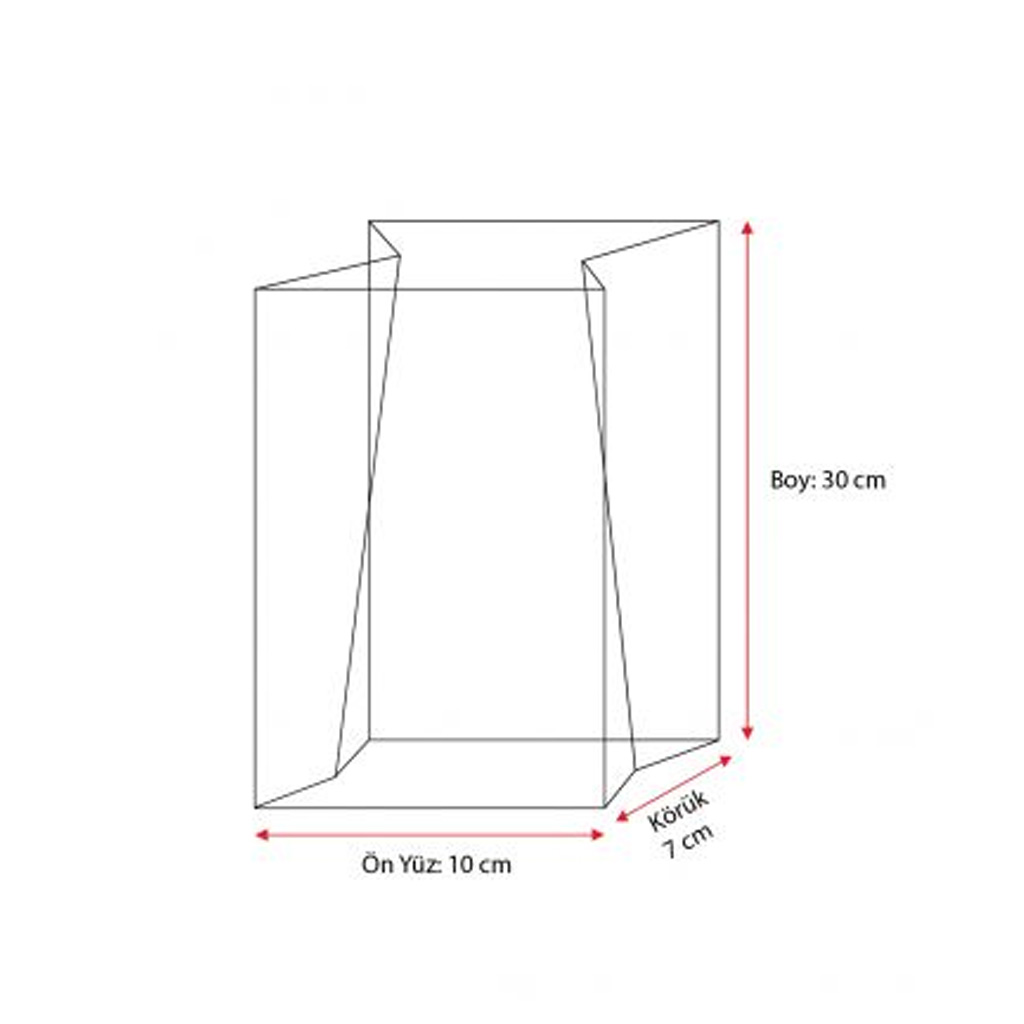 _0001_İnce Gümüş Renk Çizgili Şeffaf Poşet Büyük Boy 500 Adet